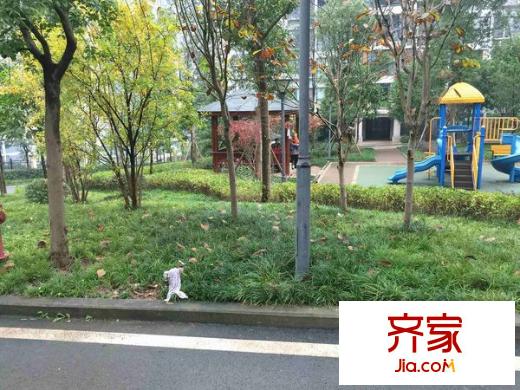 泰碩明天外景圖 