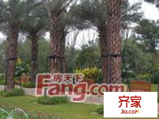 龍湖?兩江新宸