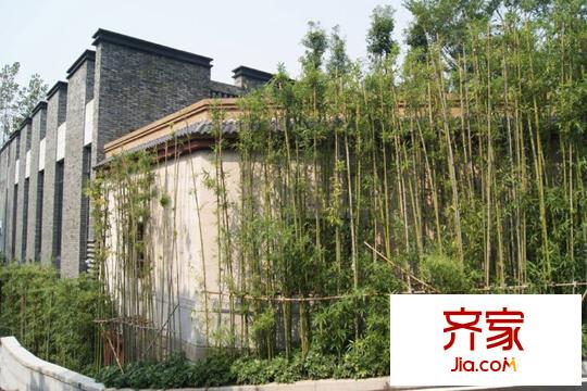 天景如果外景圖小區(qū)實(shí)景圖（2013-1-7）