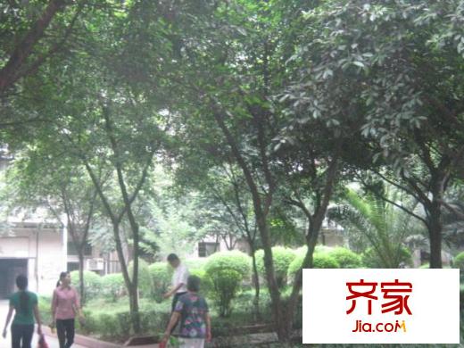 上大田灣外景圖8