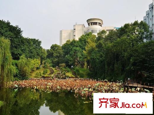 浩博方山境配套圖項(xiàng)目周邊的西南大學(xué)