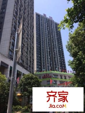 綠地新都會外景圖3