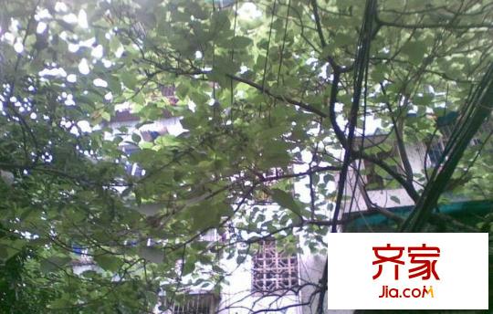 美專校街小區(qū)外景圖