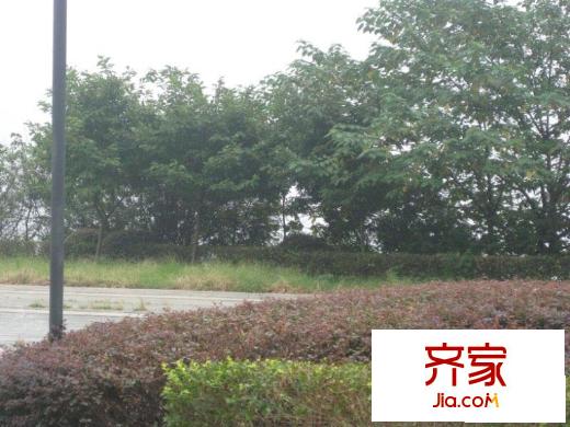 依山庭院外景圖小區(qū)相關圖_5