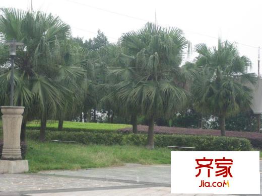 依山庭院外景圖小區(qū)相關圖_4