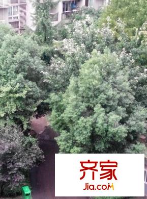大川花園外景圖 