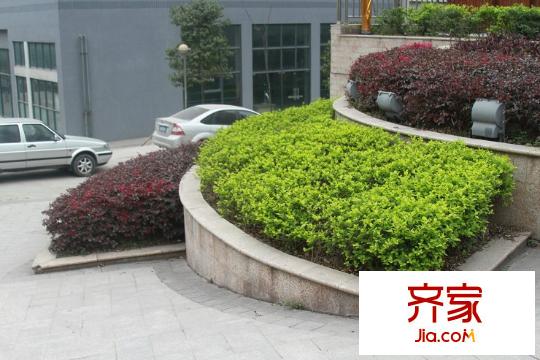 鉑金時(shí)代外景圖