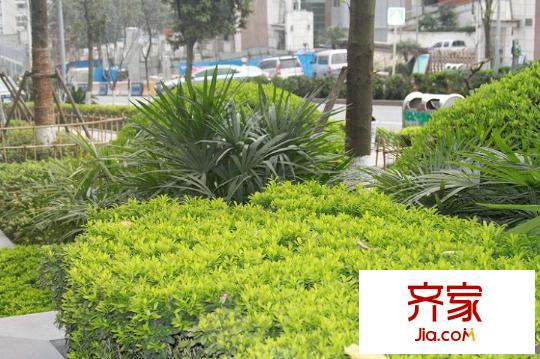 鉑金時代外景圖