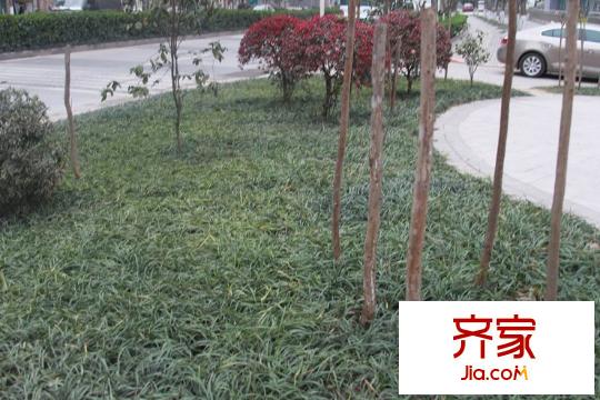 鉑金時(shí)代外景圖