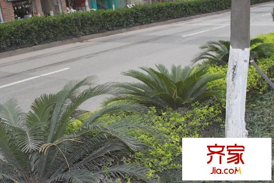 鉑金時(shí)代