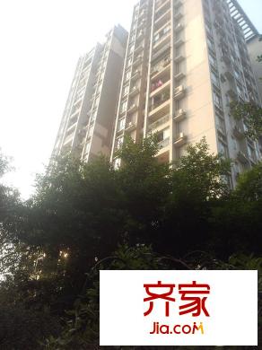 金杜洋光外景圖2