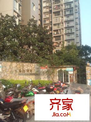 金杜洋光外景圖1