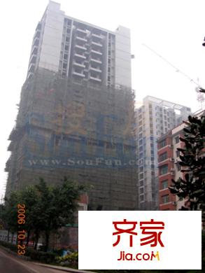 金杜洋光外景圖1