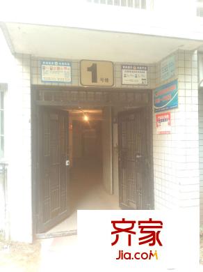 金杜洋光外景圖3