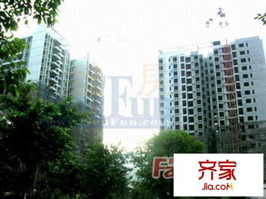金杜洋光外景圖2
