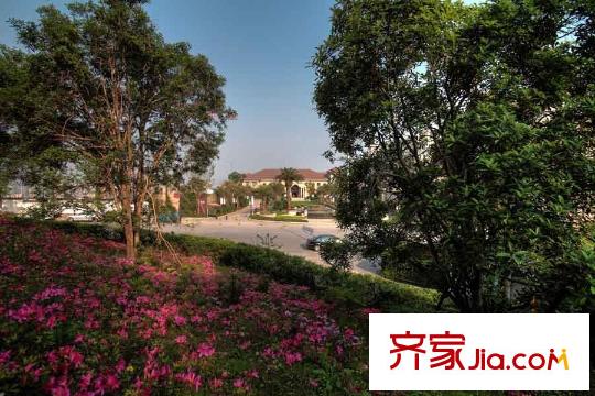 保利江上明珠暢園配套圖項目周邊鴻恩寺公園