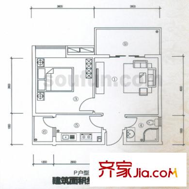 豐德陽(yáng)光水岸戶型圖P戶型 1室1廳1衛(wèi)1廚