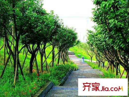 珠江城項(xiàng)目周邊巴濱路