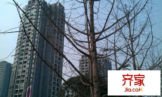 典雅龍海港灣外景圖