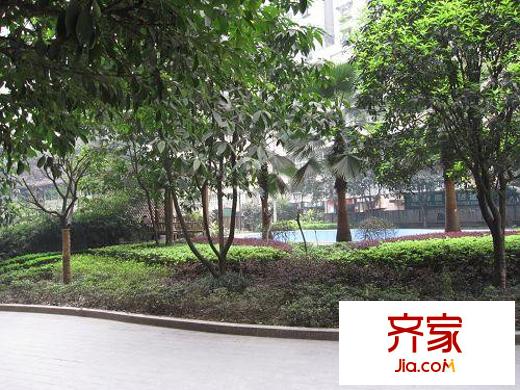 聚豐錦繡盛世外景圖