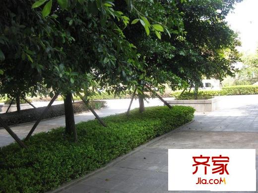 融科蔚城外景圖