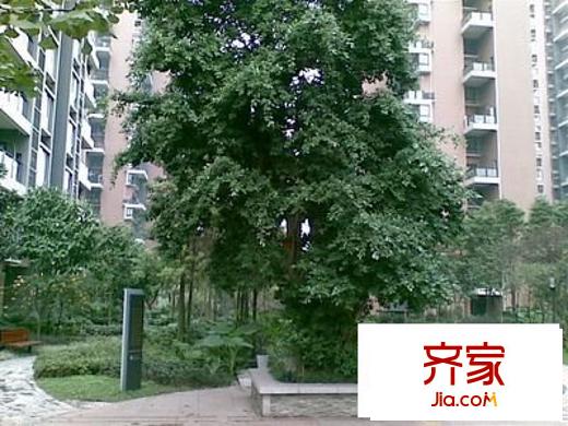 陽(yáng)光花城外景圖 