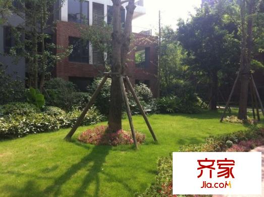 龍湖悠山庭院外景圖 
