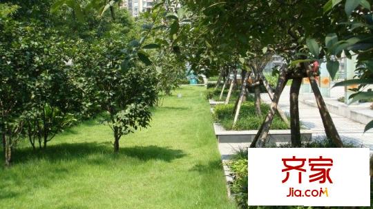 金科螞蟻SOHO外景圖