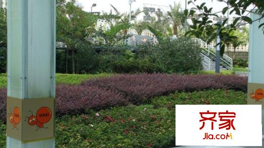 金科螞蟻SOHO外景圖