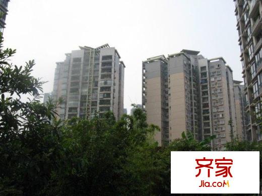 書香美舍外景圖小區(qū)相關(guān)圖_9