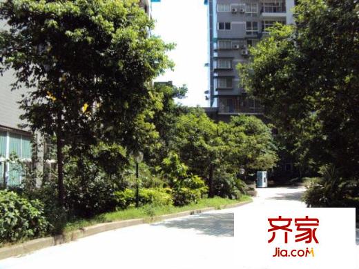 望江閣外景圖6