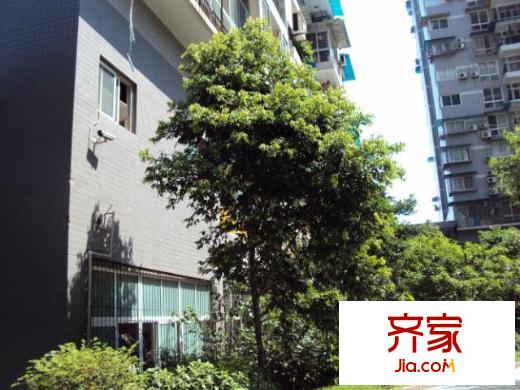望江閣外景圖21