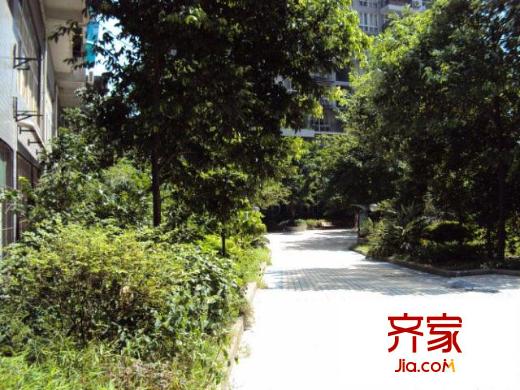 望江閣外景圖10