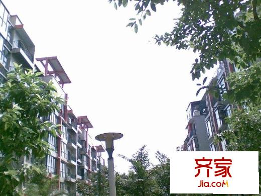 錦域藍(lán)灣外景圖