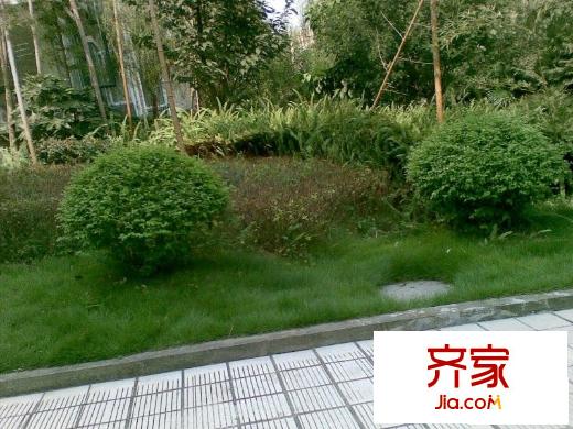 錦域藍(lán)灣外景圖