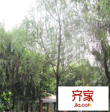 升偉新民居