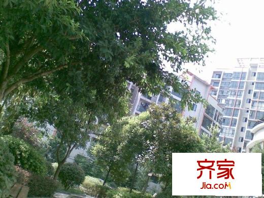 錦域藍(lán)灣外景圖
