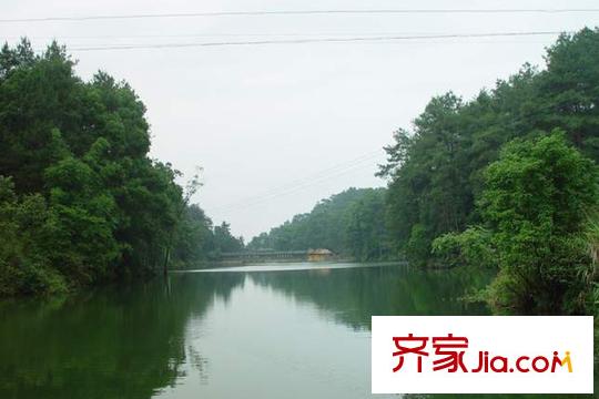 巨豪香溪美林周邊縉云山
