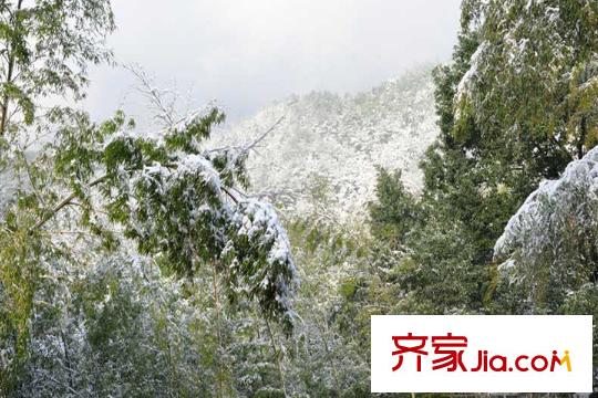 巨豪香溪美林周邊縉云山