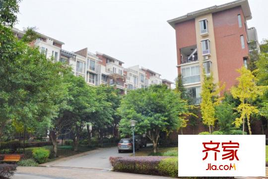巨豪香溪美林小區(qū)實(shí)景（2015.12）