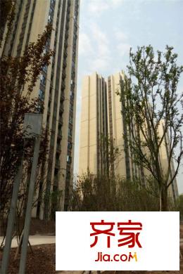協(xié)信阿卡迪亞江山凌云一期高層外立面實(shí)景圖（2015.4）
