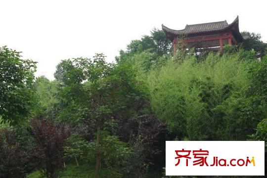 協(xié)信阿卡迪亞江山凌云周邊煙燈山公園