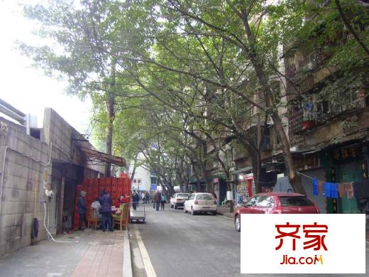 棗子嵐埡外景圖