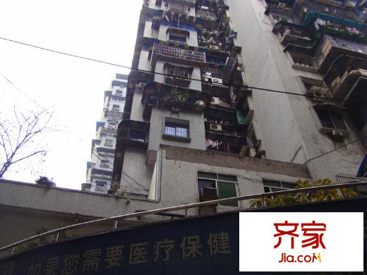 棗子嵐埡外景圖