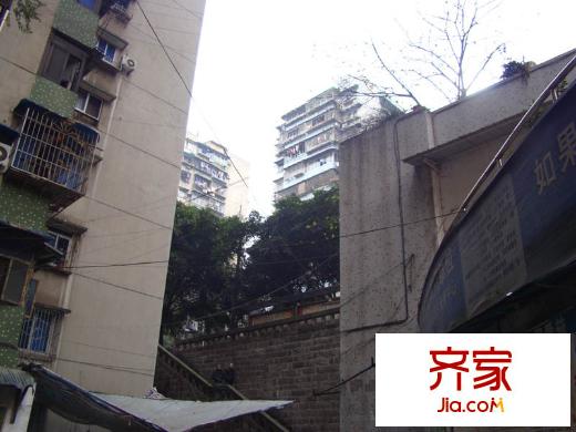 棗子嵐埡外景圖
