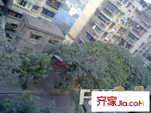 棗子嵐埡配套圖周邊