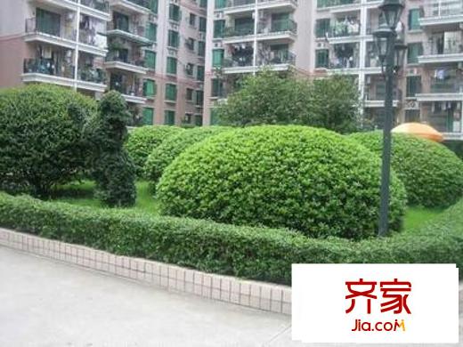 紫荊花園外景圖