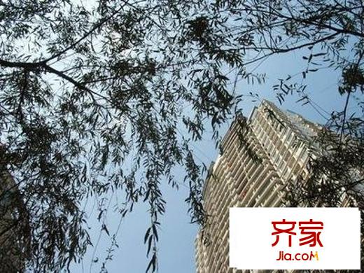 紫荊花園外景圖小區(qū)相關(guān)圖