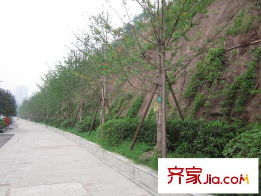 城南未來配套圖項目旁龍洲大道