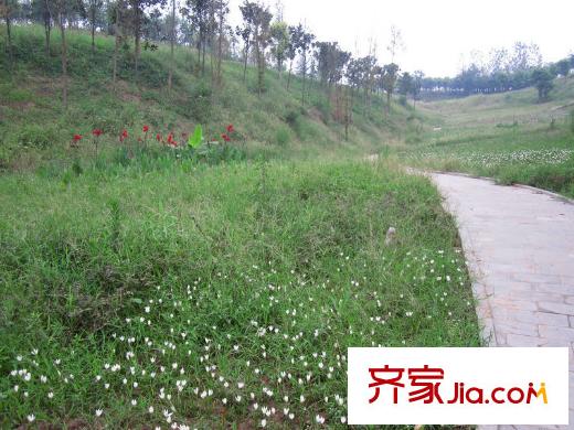 城南未來配套圖周邊在建的市政公園